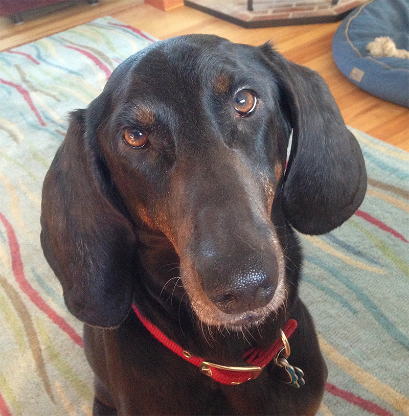 When are we going for a Jeep ride?